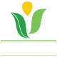 JAPC Logo